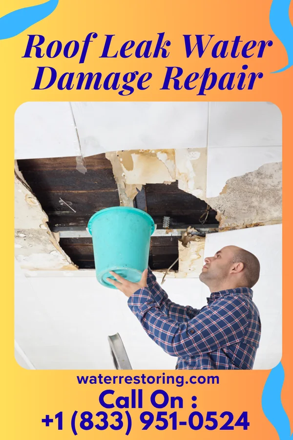 Roof Leak Water Damage Repair in Bowleys Quarters, MD